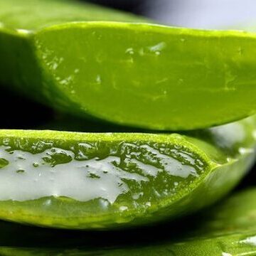 Qualitäts-produkte aus Aloe Vera